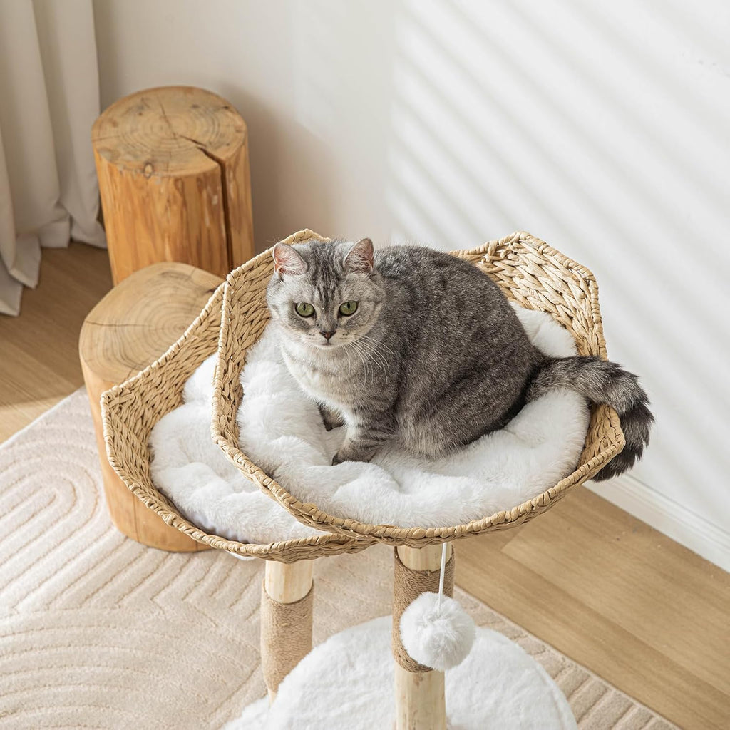 Deluxe Modern Cat Tree Lounge