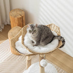 Deluxe Modern Cat Tree Lounge
