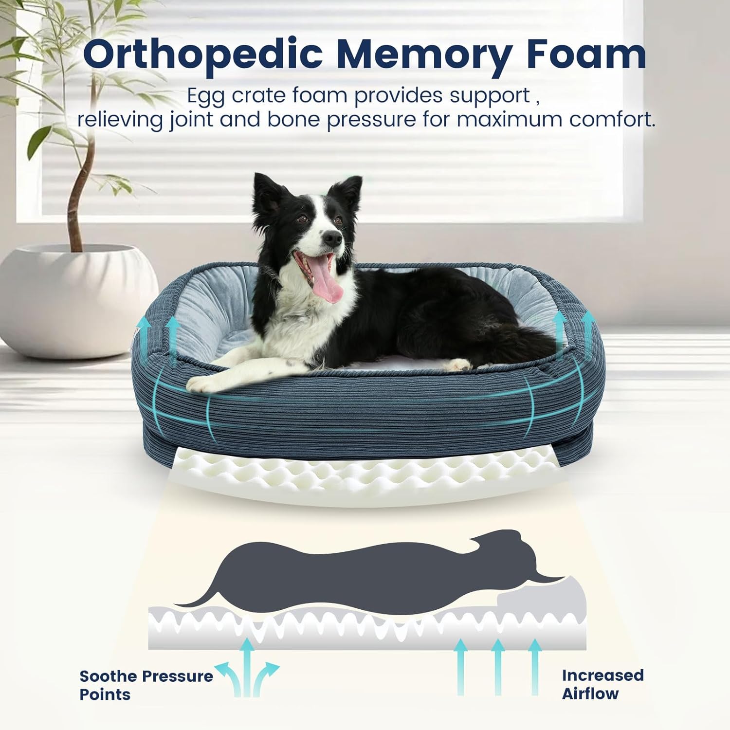 Orthopedic Memory Foam Cat Bed
